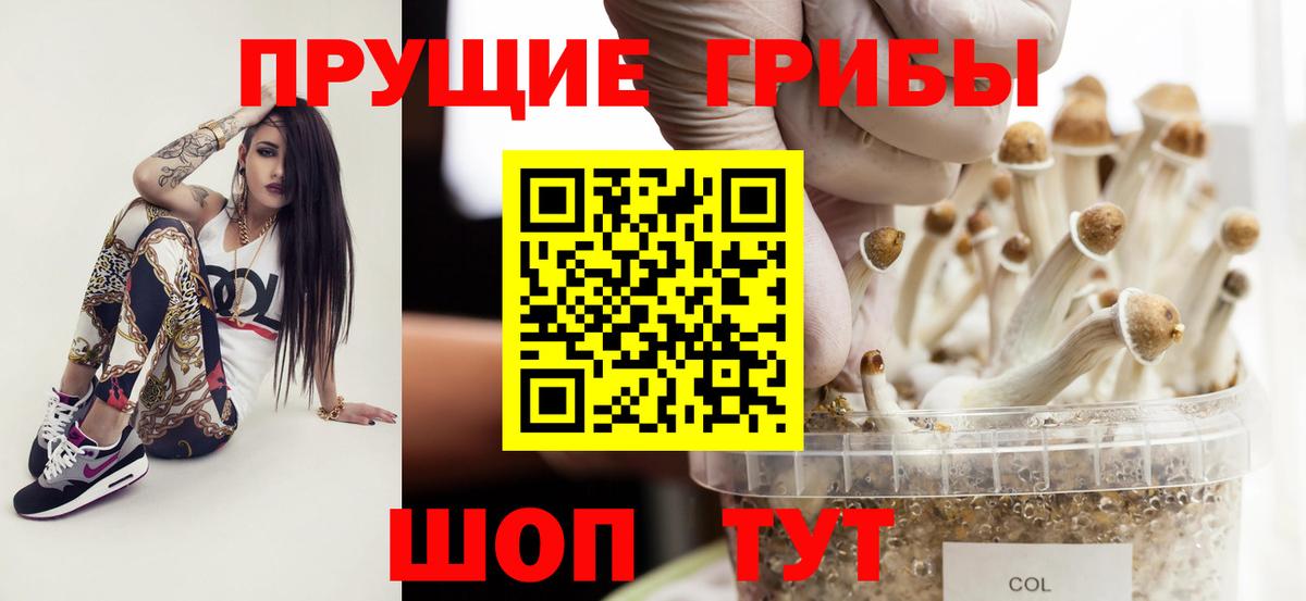 Псилоцибиновые грибы ЛСД Янаул
